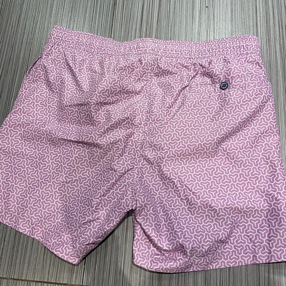 Men’s Benson Bathing Suit - Picture 2 of 2